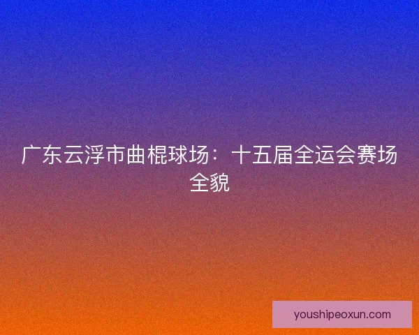 广东云浮市曲棍球场：十五届全运会赛场全貌